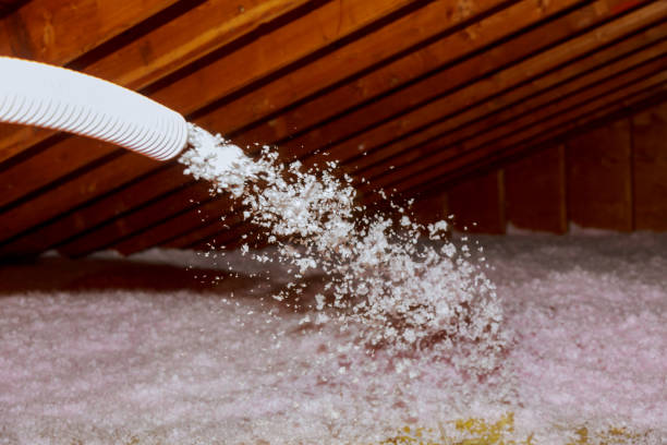 Best Cellulose Insulation  in White Cloud, MI