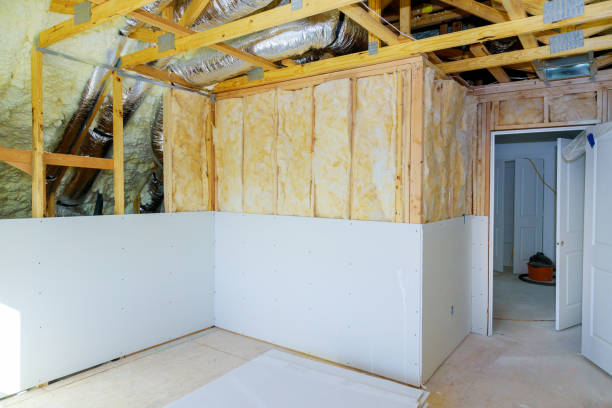 Best Insulation Inspection Services  in White Cloud, MI