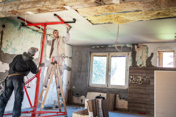 Best Insulation Contractors for Homes  in White Cloud, MI