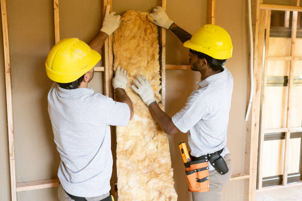 Best Insulation for New Construction  in White Cloud, MI