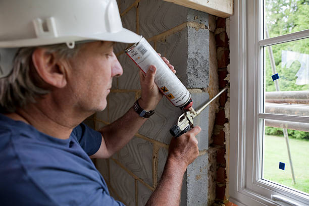 Best Professional Insulation Contractor  in White Cloud, MI