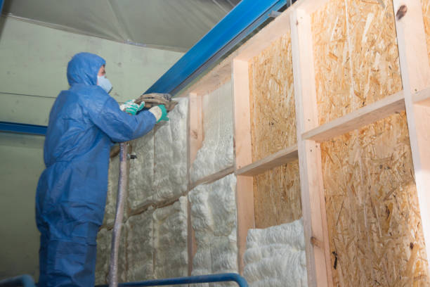 Best Spray Foam Insulation  in White Cloud, MI